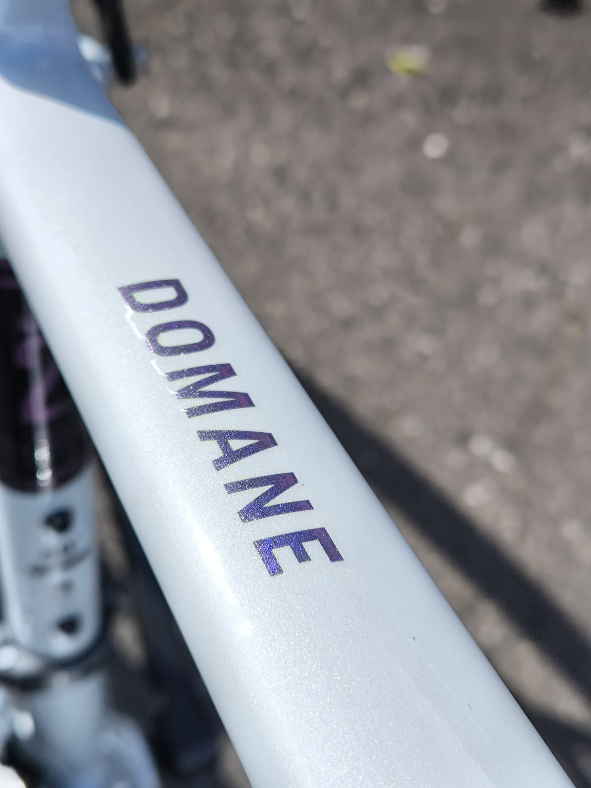 TREK DOMANE AL 2 49サイズ特別仕様 - 画像 (3)