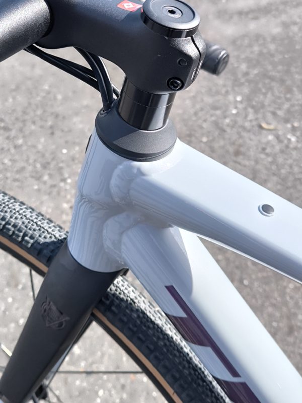 TREK DOMANE AL 2 49サイズ特別仕様 | ストラーダバイシクルズ
