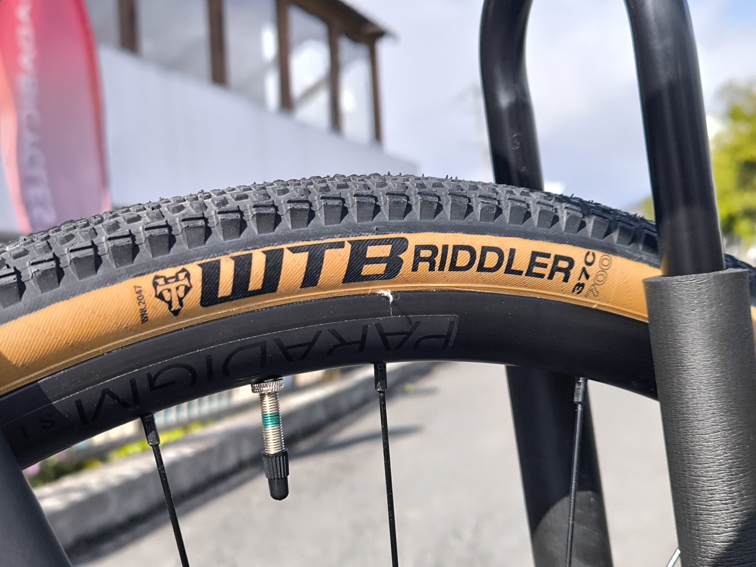 TREK DOMANE AL 2 49サイズ特別仕様 - 画像 (7)